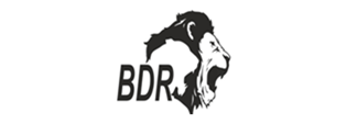 BDR Pharmaceuticals, Mumbai